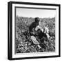 American Soldier, Red Bull Regiment, Italy, Easter Sunday, 1945-Toni Frissell-Framed Photo