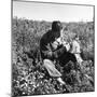 American Soldier, Red Bull Regiment, Italy, Easter Sunday, 1945-Toni Frissell-Mounted Photo