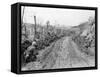 American Soldiers Kneeling on Side of Road in Okinawa-null-Framed Stretched Canvas