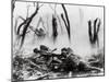 American Soldiers of 23rd Inf. Firing 37mm Machine Gun at German Positions, Argonne Forest, WWI-null-Mounted Photographic Print