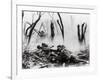 American Soldiers of 23rd Inf. Firing 37mm Machine Gun at German Positions, Argonne Forest, WWI-null-Framed Photographic Print