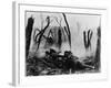 American Soldiers of 23rd Inf. Firing a 37-MM Gun at German Positions in the Argonne Forest, WWI-null-Framed Photographic Print