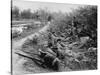 American Soldiers on Maneuvers During the Philippine Insurrection-null-Stretched Canvas