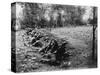 American Soldiers on Maneuvers During the Philippine Insurrection-null-Stretched Canvas