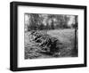 American Soldiers on Maneuvers During the Philippine Insurrection-null-Framed Photographic Print