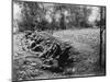 American Soldiers on Maneuvers During the Philippine Insurrection-null-Mounted Photographic Print