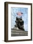 American Soldiers Placing American Flag to Honor Marines-Tim Clary-Framed Photographic Print