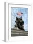 American Soldiers Placing American Flag to Honor Marines-Tim Clary-Framed Photographic Print