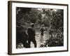 American Soldiers Wading Through Water in the New Georgia Group of the Solomon Islands, 1943-null-Framed Photo