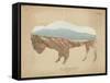 American Southwest Buffalo Distressed-Wild Apple Portfolio-Framed Stretched Canvas