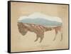 American Southwest Buffalo Distressed-Wild Apple Portfolio-Framed Stretched Canvas