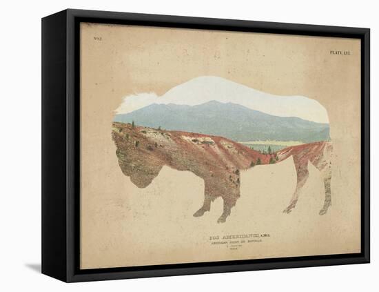 American Southwest Buffalo Distressed-Wild Apple Portfolio-Framed Stretched Canvas