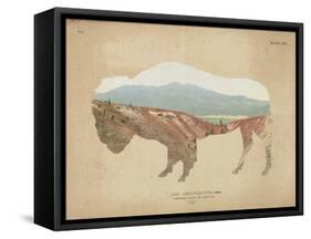 American Southwest Buffalo Distressed-Wild Apple Portfolio-Framed Stretched Canvas