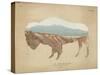 American Southwest Buffalo Distressed-Wild Apple Portfolio-Stretched Canvas