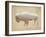American Southwest Buffalo Distressed-Wild Apple Portfolio-Framed Art Print