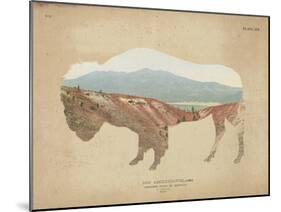 American Southwest Buffalo Distressed-Wild Apple Portfolio-Mounted Art Print