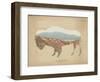 American Southwest Buffalo Distressed-Wild Apple Portfolio-Framed Art Print