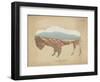 American Southwest Buffalo Distressed-Wild Apple Portfolio-Framed Art Print