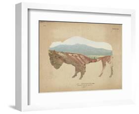 American Southwest Buffalo Distressed-Wild Apple Portfolio-Framed Art Print