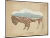 American Southwest Buffalo Distressed-Wild Apple Portfolio-Mounted Art Print