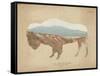 American Southwest Buffalo Distressed-Wild Apple Portfolio-Framed Stretched Canvas