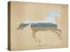 American Southwest Horse Distressed-Wild Apple Portfolio-Stretched Canvas