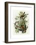 American Sparrow Hawk-null-Framed Giclee Print