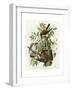 American Sparrow Hawk-null-Framed Giclee Print