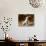American Staffordshire Terrier Puppy Portrait-Zandria Muench Beraldo-Photographic Print displayed on a wall
