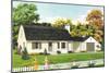 American Suburban Home-null-Mounted Art Print