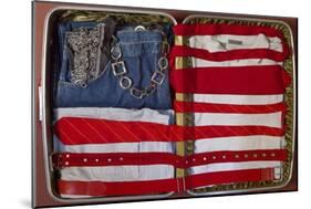 American Suitcase-Roderick E. Stevens-Mounted Giclee Print