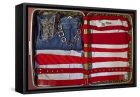 American Suitcase-Roderick E. Stevens-Framed Stretched Canvas