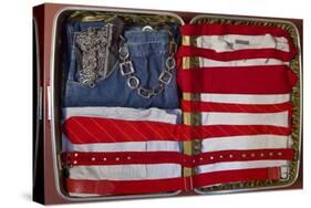 American Suitcase-Roderick E. Stevens-Stretched Canvas