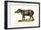 American Tapir, 1824-Karl Joseph Brodtmann-Framed Giclee Print