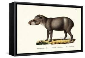 American Tapir, 1824-Karl Joseph Brodtmann-Framed Stretched Canvas