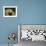 American Toad on Log, Eastern USA-Maresa Pryor-Framed Premium Photographic Print displayed on a wall