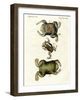 American Toads-null-Framed Giclee Print