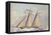 American Topsail Schooner, 1825-John Rogers-Framed Stretched Canvas