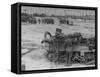 American Troops During Campaign to Liberate Caen During WWII-null-Framed Stretched Canvas