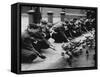 American Troops Feeding Pigeons-Associated Newspapers-Framed Stretched Canvas