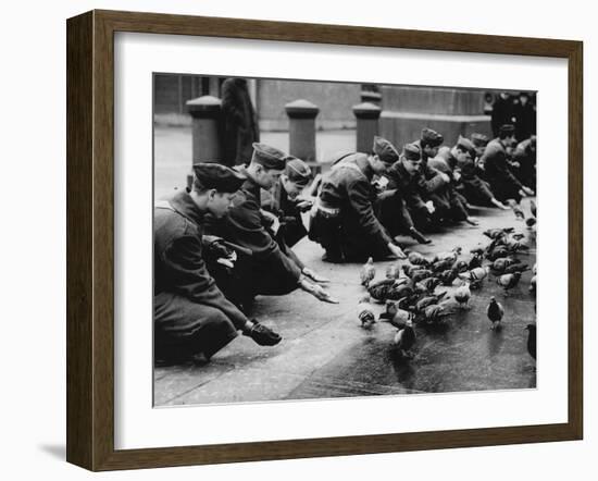 American Troops Feeding Pigeons-Associated Newspapers-Framed Photo