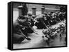 American Troops Feeding Pigeons-Associated Newspapers-Framed Stretched Canvas