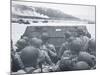 American Troops in Landing Craft Head for Omaha Beach, 6th June 1944-null-Mounted Photographic Print