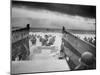 American Troops on Omaha Beach During D Day Invasion of Normandy-null-Mounted Premium Photographic Print