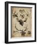 American Trophy I-John Butler-Framed Art Print