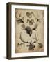 American Trophy I-John Butler-Framed Art Print