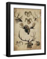 American Trophy I-John Butler-Framed Art Print