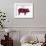 American US Cuts of Pork-robuart-Framed Art Print displayed on a wall