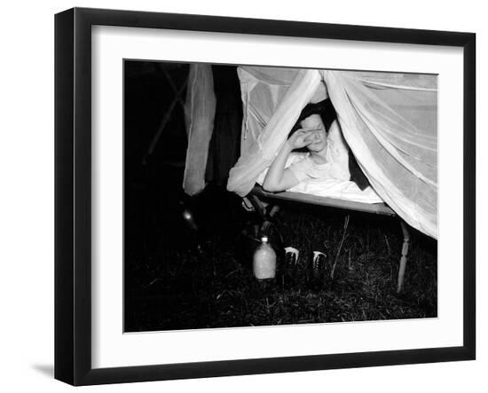 Photo, , large