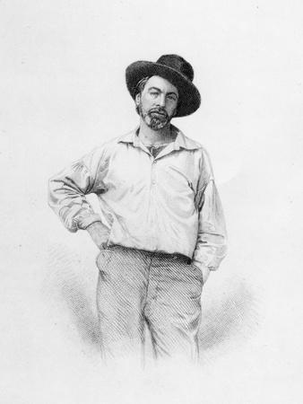 Walt Whitman, Frontispiece to 'Leaves of Grass', 1855 (Engraving)